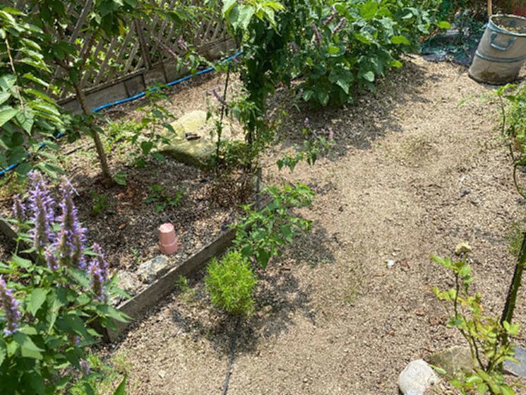 少しずつ草引きも進んでます_d0258871_21035019.jpg