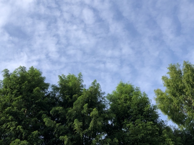 Blue Mondayを超えてこそ。_a0394574_22493607.jpeg