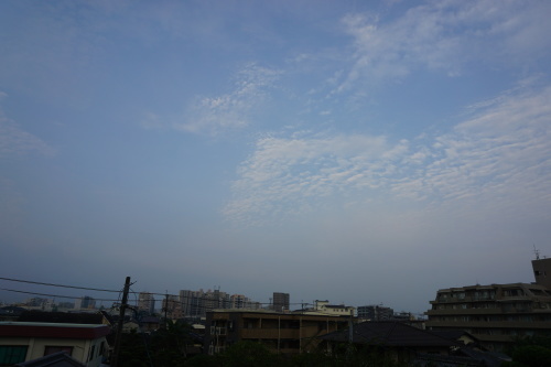 朝歌8月3日_c0169176_08313060.jpg