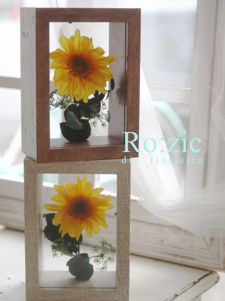 8 3 夏のギフト ひまわりのプリザーブドフラワー Ro Zic Die Floristin 8 3 夏のギフト ひまわりのプリザーブドフラワー Ro Zic Die Floristin