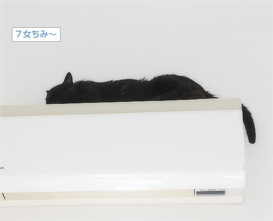 エアコンの使い方_a0389088_09031701.jpg