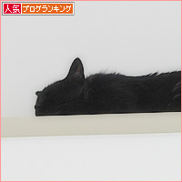 エアコンの使い方_a0389088_09031745.jpg