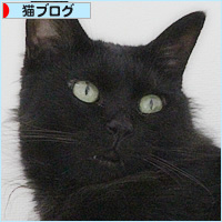 エアコンの使い方_a0389088_09031776.jpg