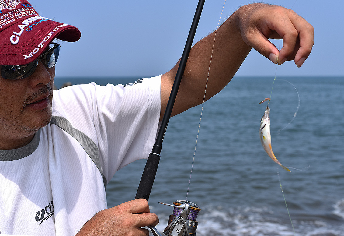 鱚釣り…のつもりが_c0095801_21384507.jpg
