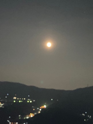 思いがけなく思う「涙」_a0105023_14533550.jpg