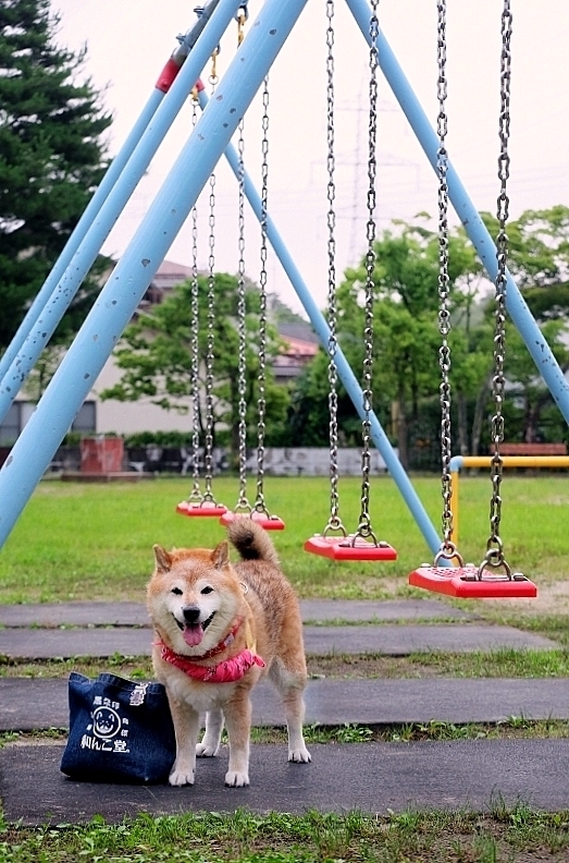 率のいろいろ_b0314043_07320797.jpg