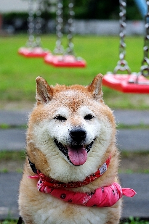 率のいろいろ_b0314043_07323449.jpg