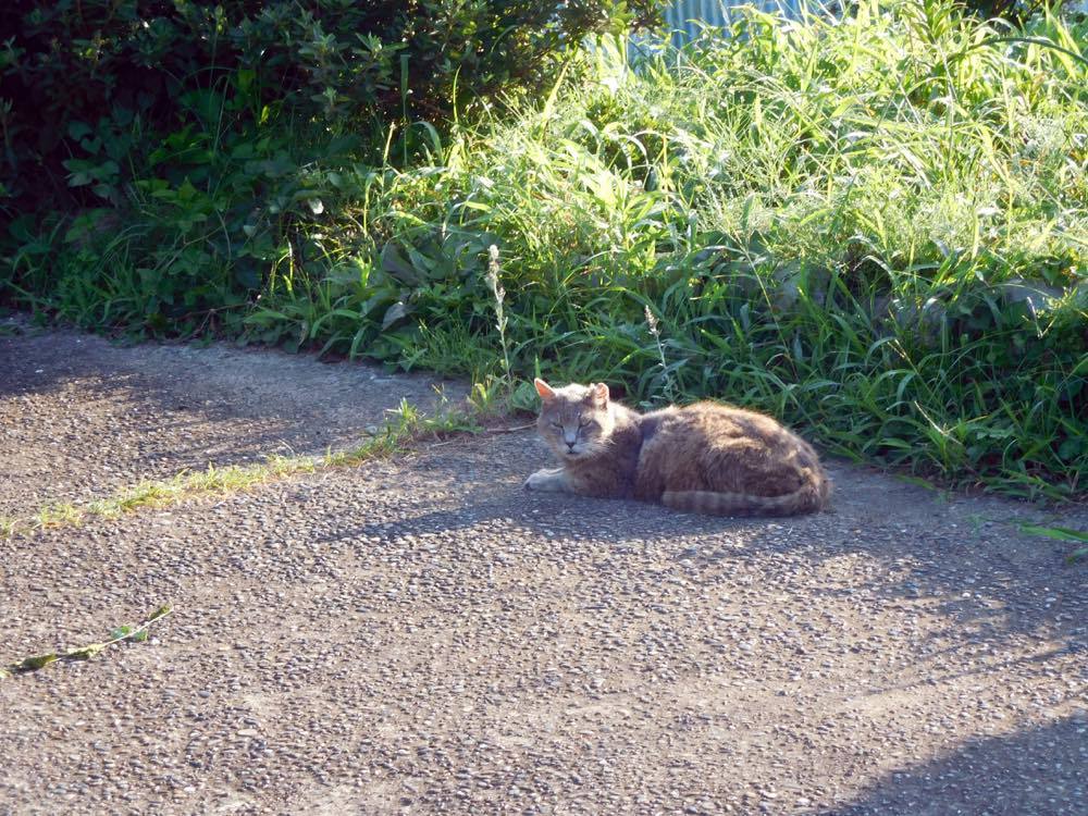 明けましたね_e0024554_22584818.jpg