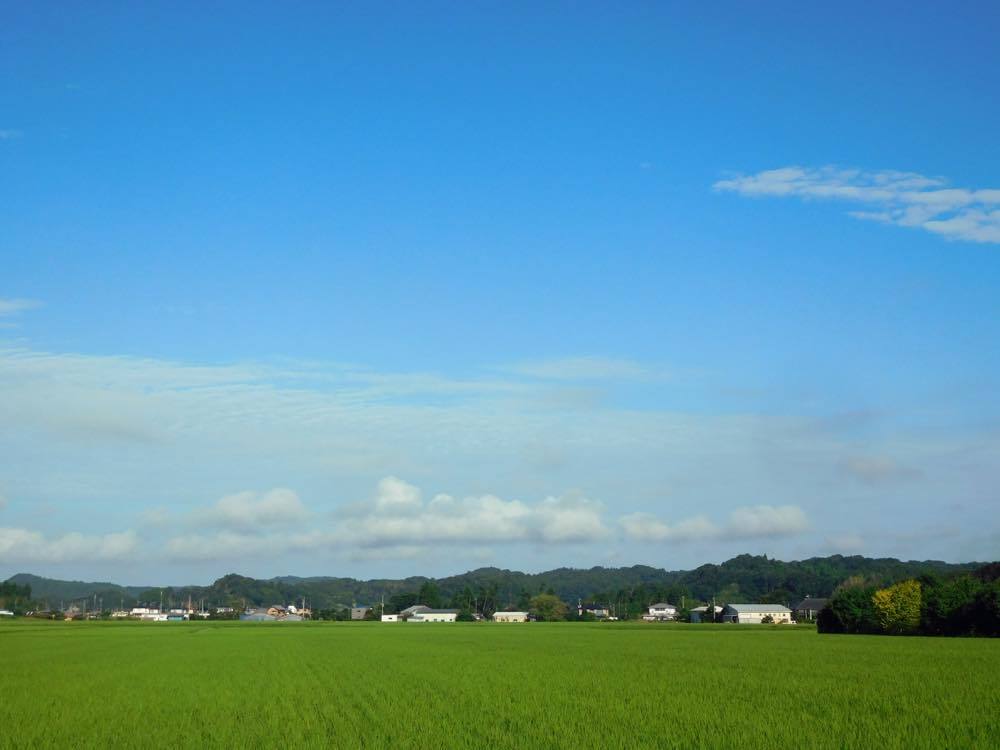 明けましたね_e0024554_22585490.jpg