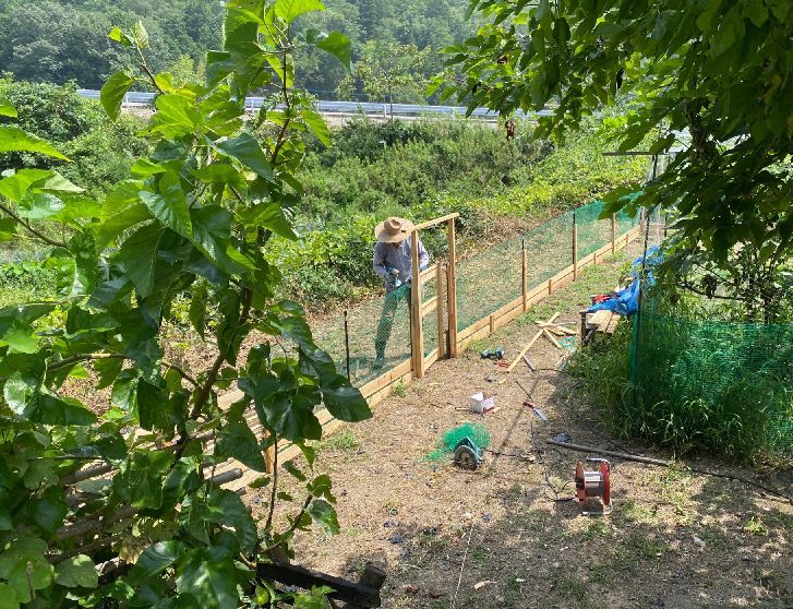今日も草引き!_d0258871_17184781.jpg