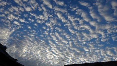 お盆の鱗雲_a0064474_08485872.jpg