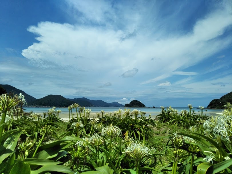 長崎人の実態と五島の海 かづさとこてつ 麗しの南島原