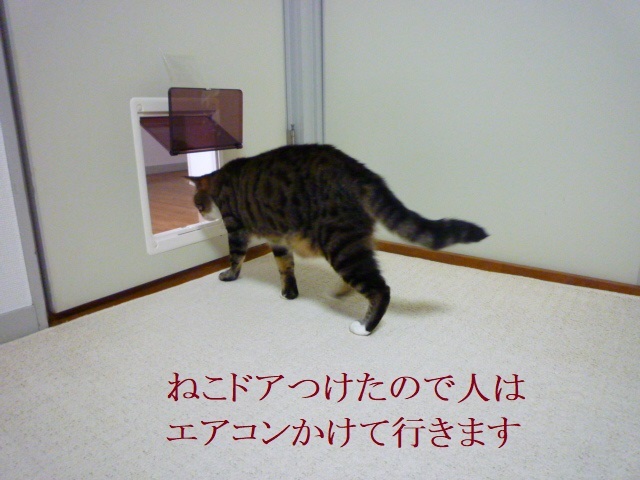 エアコン稼働_e0363677_22460624.jpg