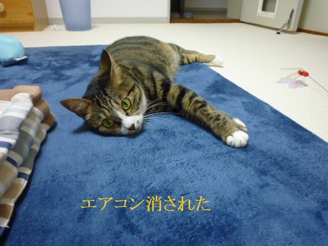 エアコン稼働_e0363677_22460632.jpg