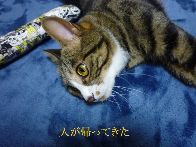 エアコン稼働_e0363677_22460759.jpg