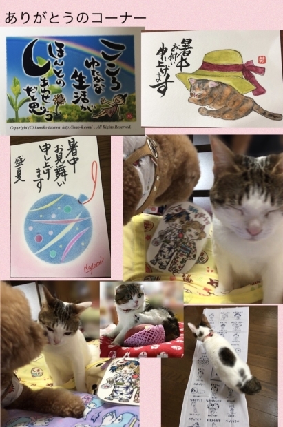 スイカ暑中お見舞い トマト_f0375804_07094553.jpg