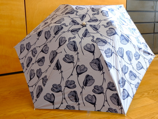 折りたたみ傘を買いたい_a0000029_09195199.jpg