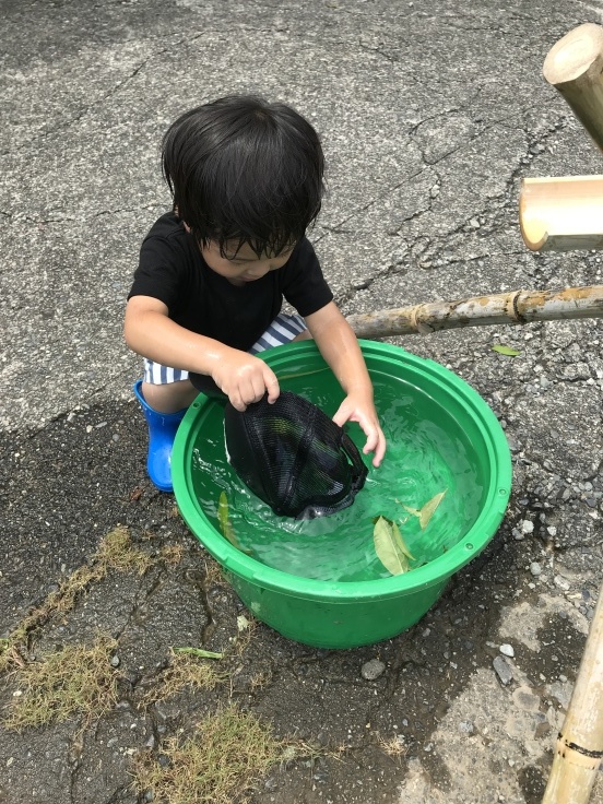 定休日。新アトラクション？！オープン！！_d0386342_23140197.jpg