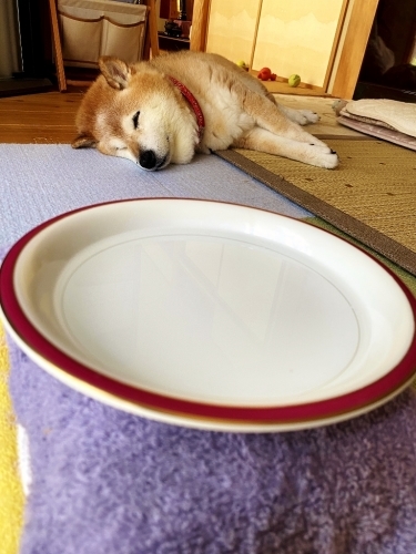寝苦しい_b0314043_07192422.jpg