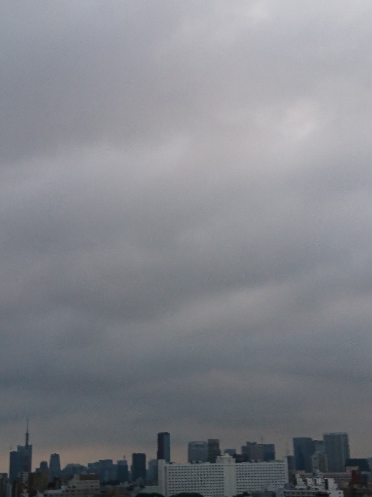 おはようモーニング_c0100865_05503493.jpg