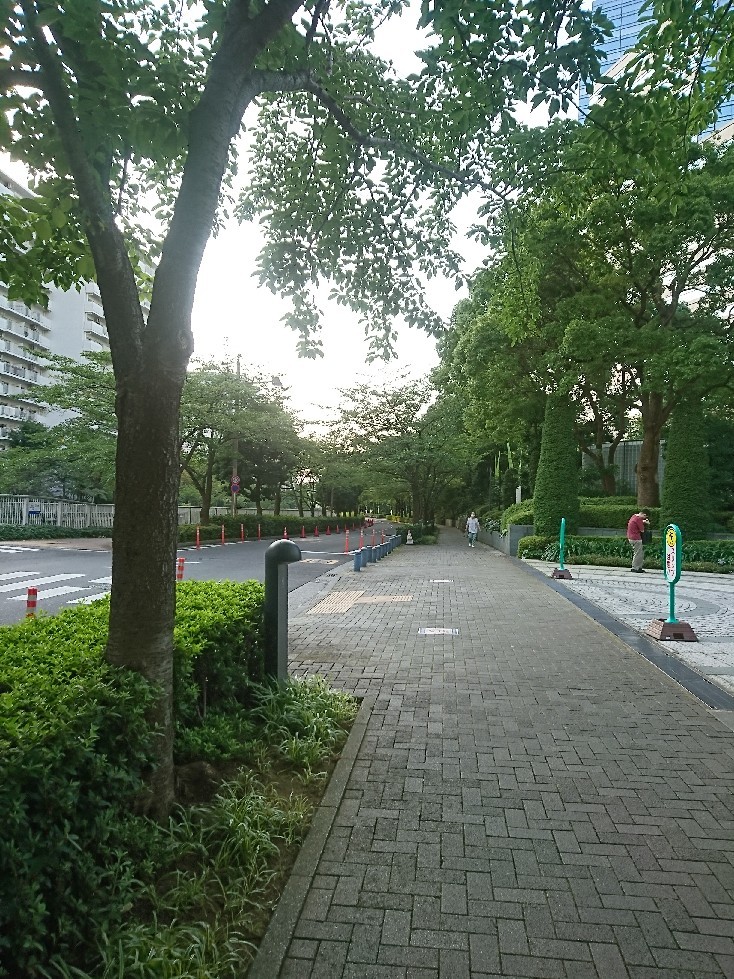 おはようモーニング_c0100865_05503587.jpg