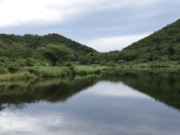 赤城山 覚満淵 (2020/7/27撮影)_b0369971_15045153.jpg