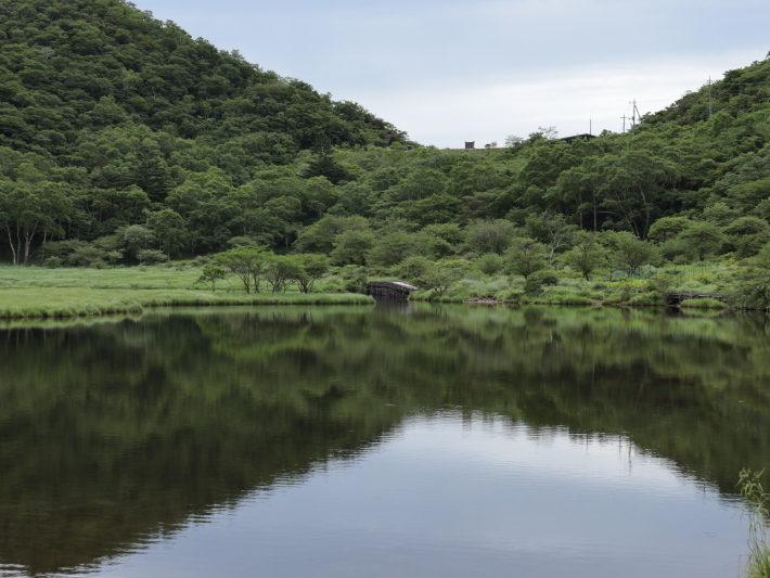 赤城山 覚満淵 (2020/7/27撮影)_b0369971_15050440.jpg