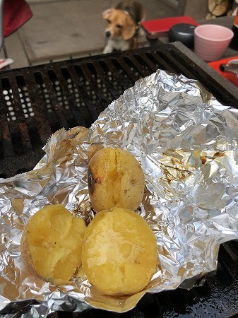 インカのめざめを収穫しました。_d0251572_23471647.jpg