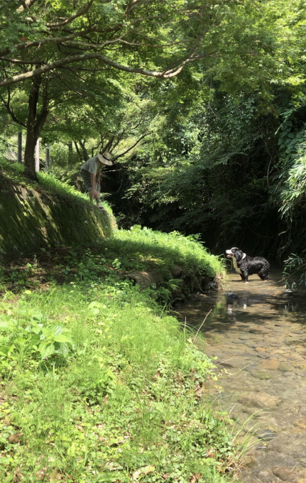 笑顔で行こう!_b0193476_20214105.jpeg