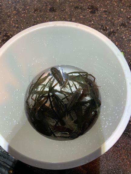 アウトドア教室~in竜串~_c0219018_17404041.jpg