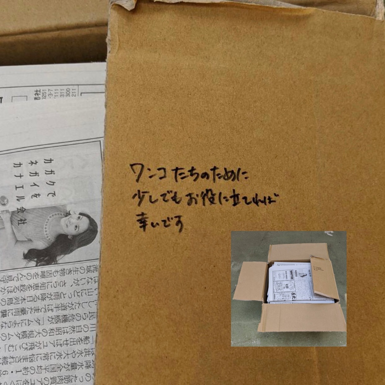 _f0078320_15581505.jpeg
