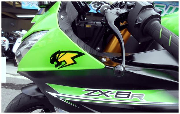 人気激安 KAWASAKI Ninja Performance Specs, (2008-2009) ZX