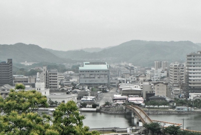 霞もどき(擬き)_c0167054_17475670.jpg