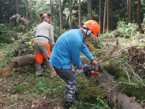 汗だくで台風被害木の片付け続行8・6六国見山手入れ_c0014967_16530654.jpg