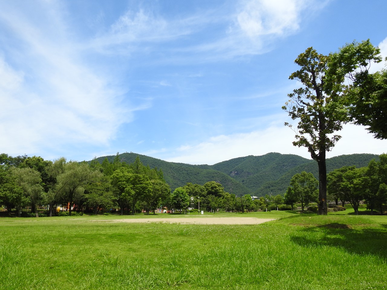 『長良公園の花と実と風景を･････』_d0054276_2015278.jpg