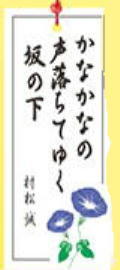 《 かなかな 》_c0328479_14045265.jpg