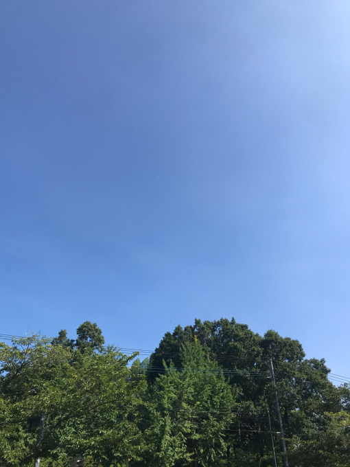 私的ブログ…長いですが、よろしくです…編(^。^)_d0132688_19380231.jpg