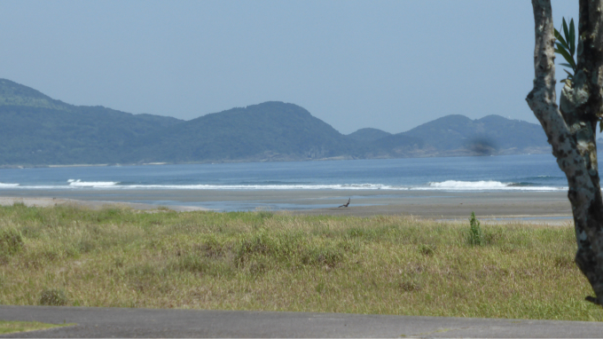 私的ブログ…長いですが、よろしくです…編(^｡^)_d0132688_22290359.jpg