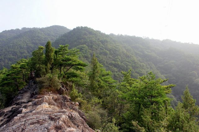 熊山登山 中尾鉄塔コースを登る！の巻_f0325295_14562000.jpg