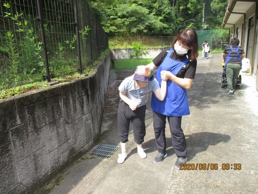 8/6 朝の散歩_a0154110_13393692.jpg