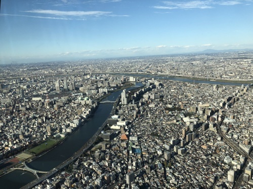 立秋_d0184114_18243519.jpeg