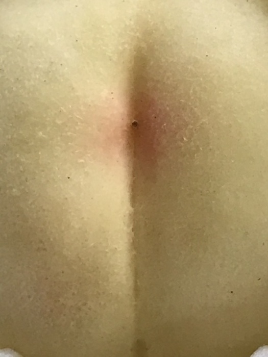 美味しいもの・・・(4381)_e0349324_08034165.jpg