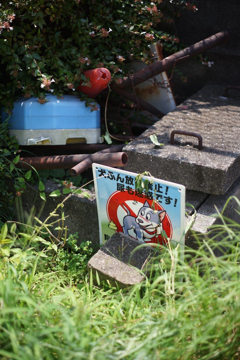 MC ロッコール 50mmF1.7 で 散髪に_b0069128_11074924.jpg