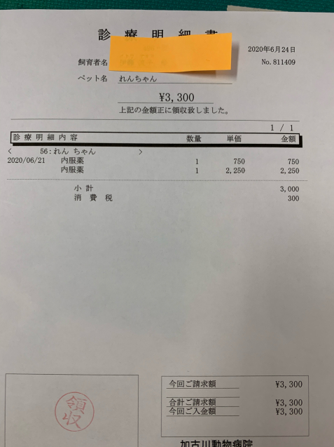 れんちゃん医療費のご報告、そして。_d0355333_12453503.jpg