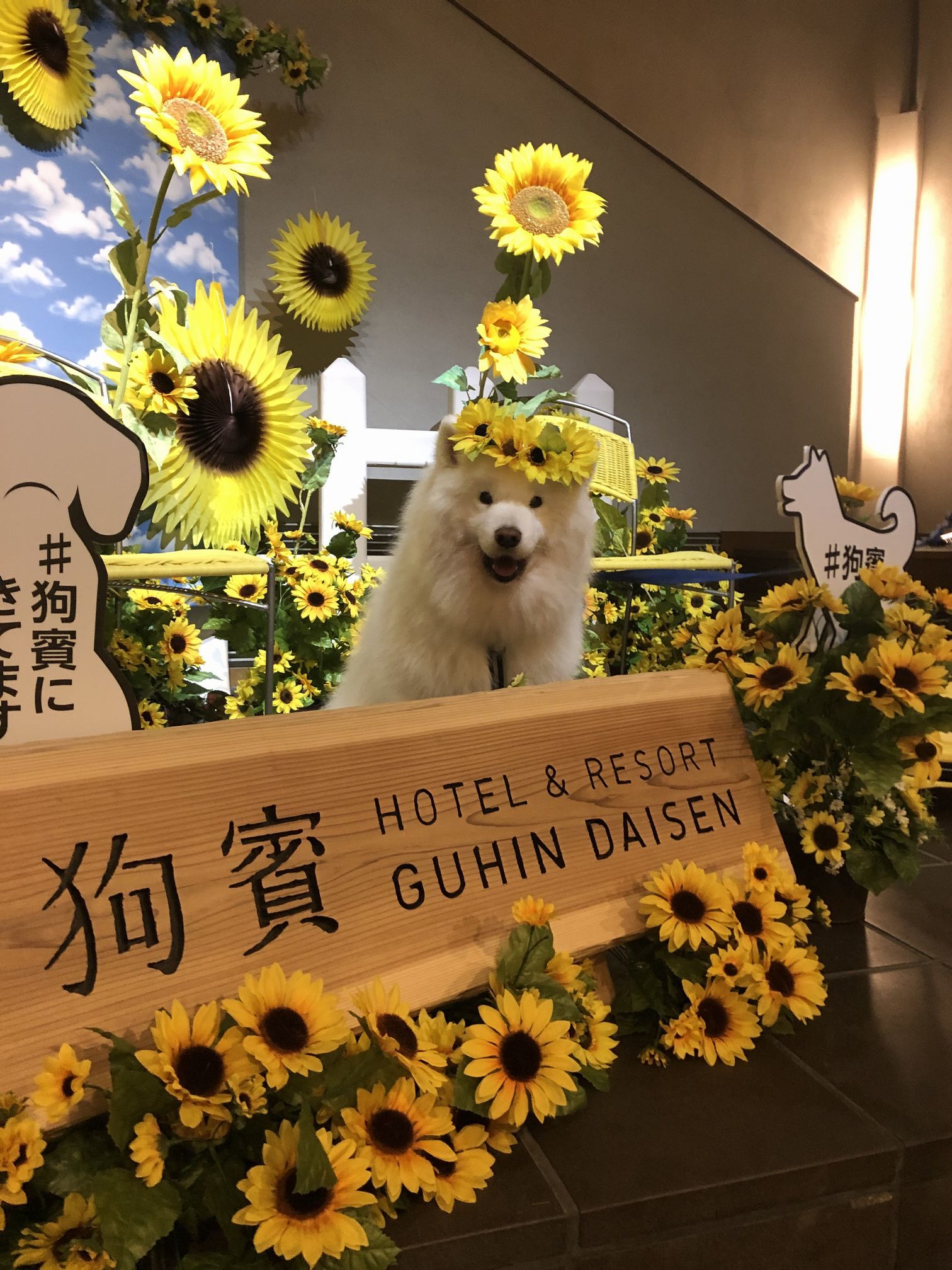 2020年夏 大山旅行 その1_f0128542_10274063.jpg