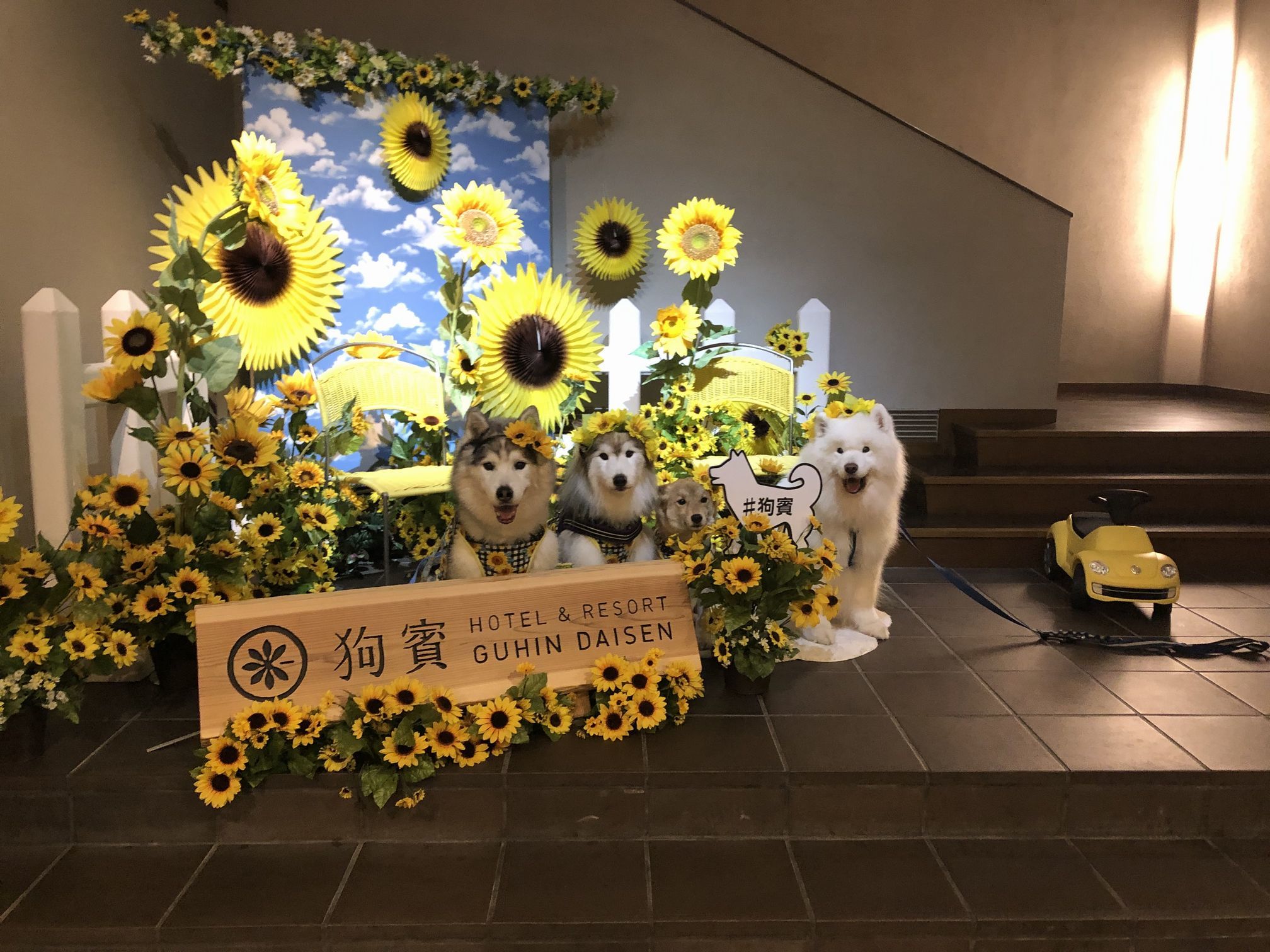 2020年夏 大山旅行 その1_f0128542_10285173.jpg