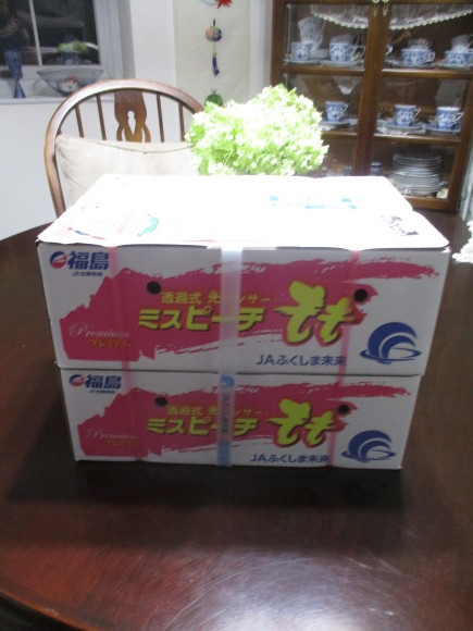 お盆のお参りの日&桃が届いた_a0279743_10063590.jpg