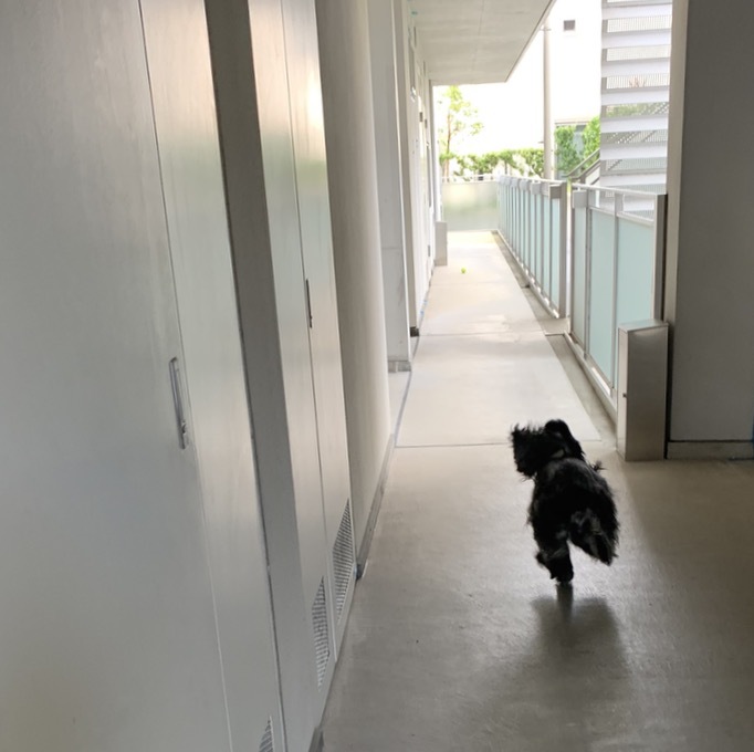 おぷしょん。_f0372146_13494877.jpg