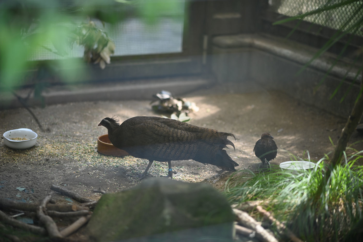 動物園へ行こう