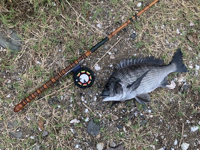 【希少】横浜竿　和竿　汐よし　釣竿　黒鯛　ヘチ釣り　チヌ 進化する実戦竿 横浜竿の汐よし